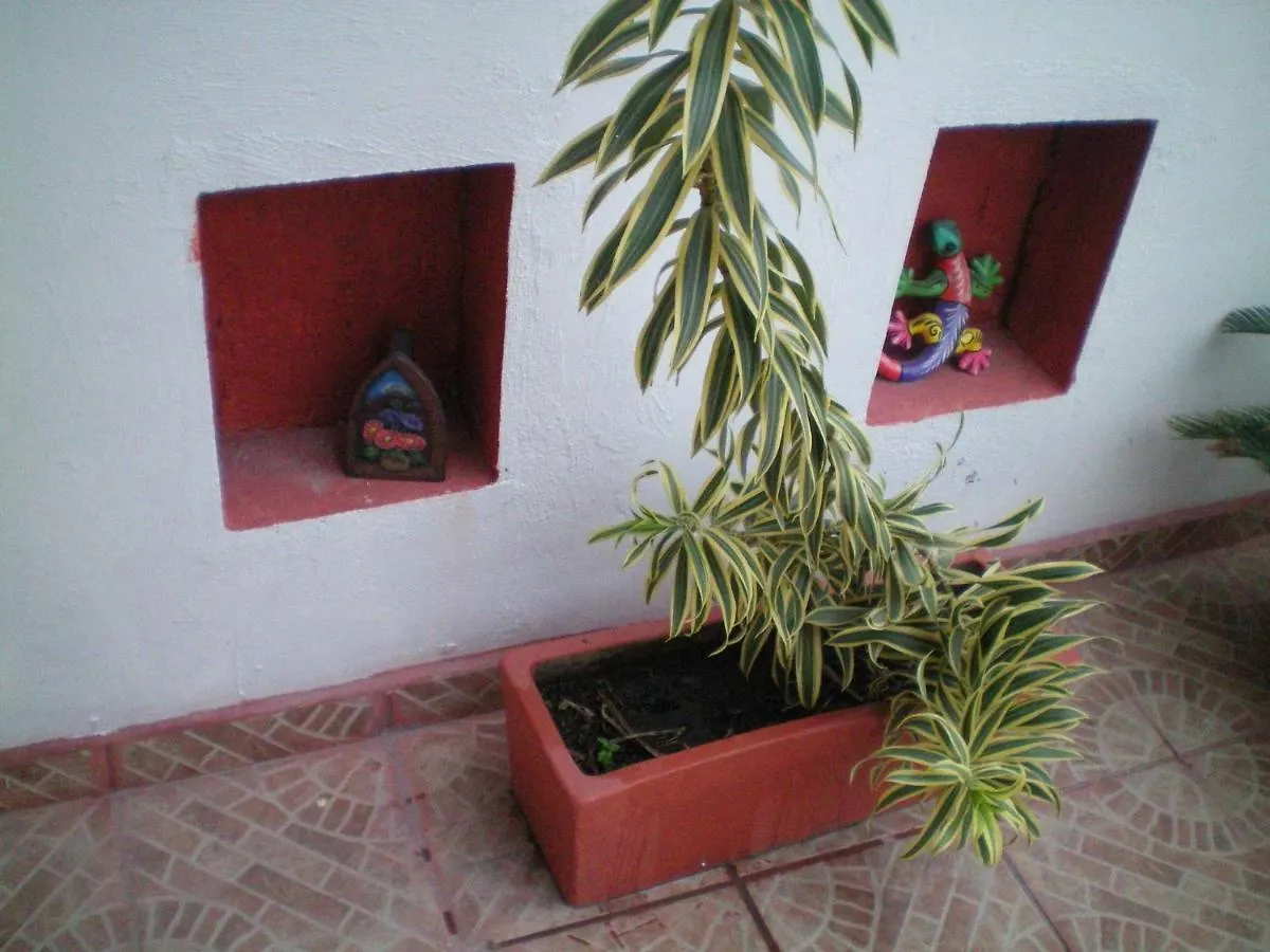 Cancun Guest House 3 Near Ado Bus Terminal And 25 Min From/To Airport By Shuttle