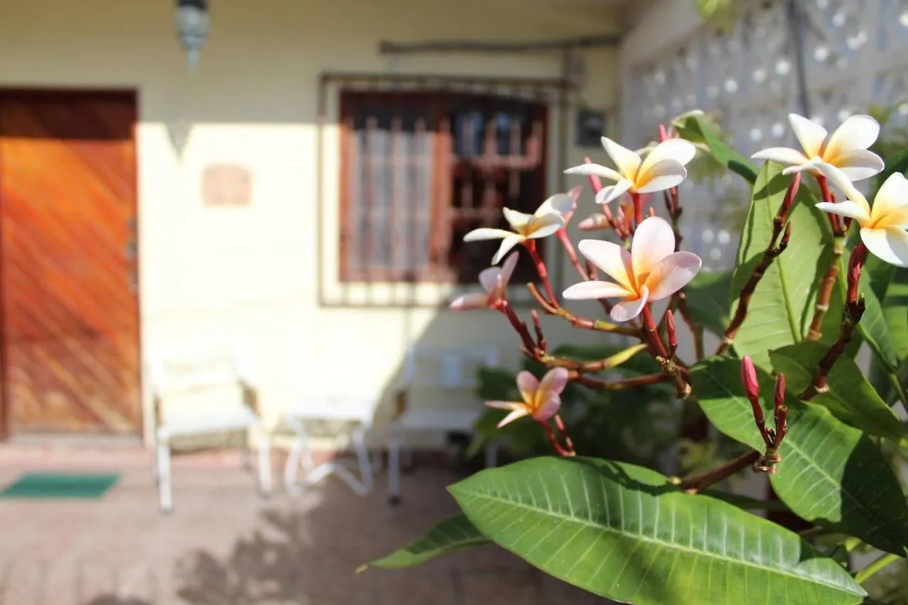 Cancun Guest House 3 Near Ado Bus Terminal And 25 Min From/To Airport By Shuttle Mexico