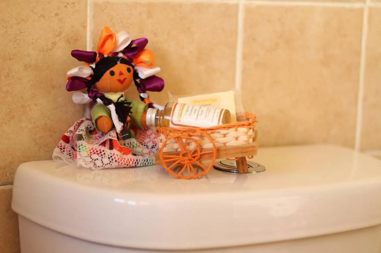 Cancun Guest House 3 Near Ado Bus Terminal And 25 Min From/To Airport By Shuttle Mexique